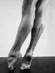 Sur pointes - Ballet National de Marseille, Emio Greco, Pieter C. Scholten, Jeroen Verbruggen