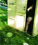 In-Two - Alexandra Tobelaim