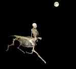 Ruuptuur - Mercedes Dassy [Belgique]