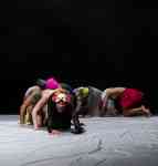 Abri - Volmir Cordeiro
artiste en résidence