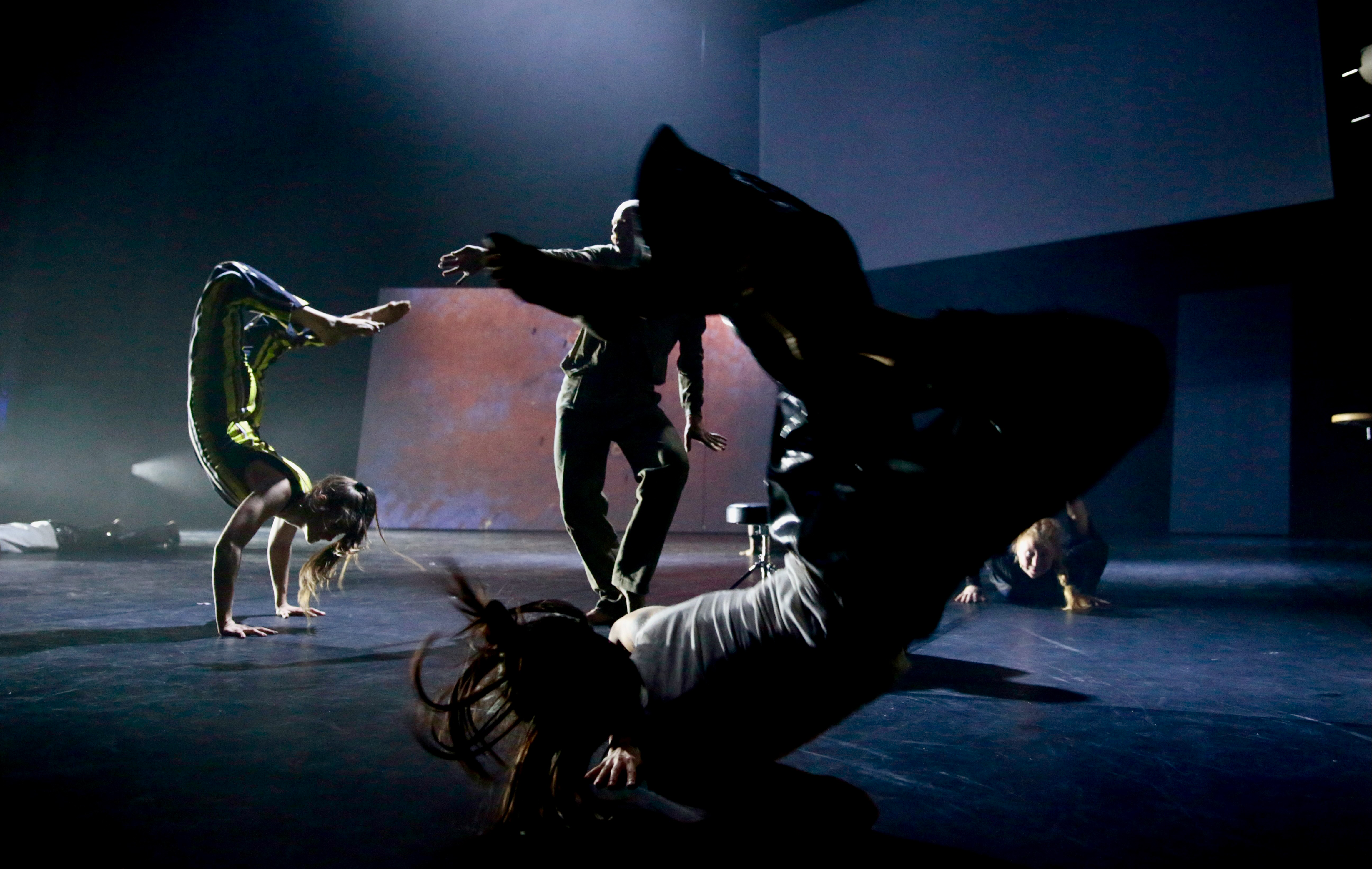 Infamous Offspring - Wim Vandekeybus