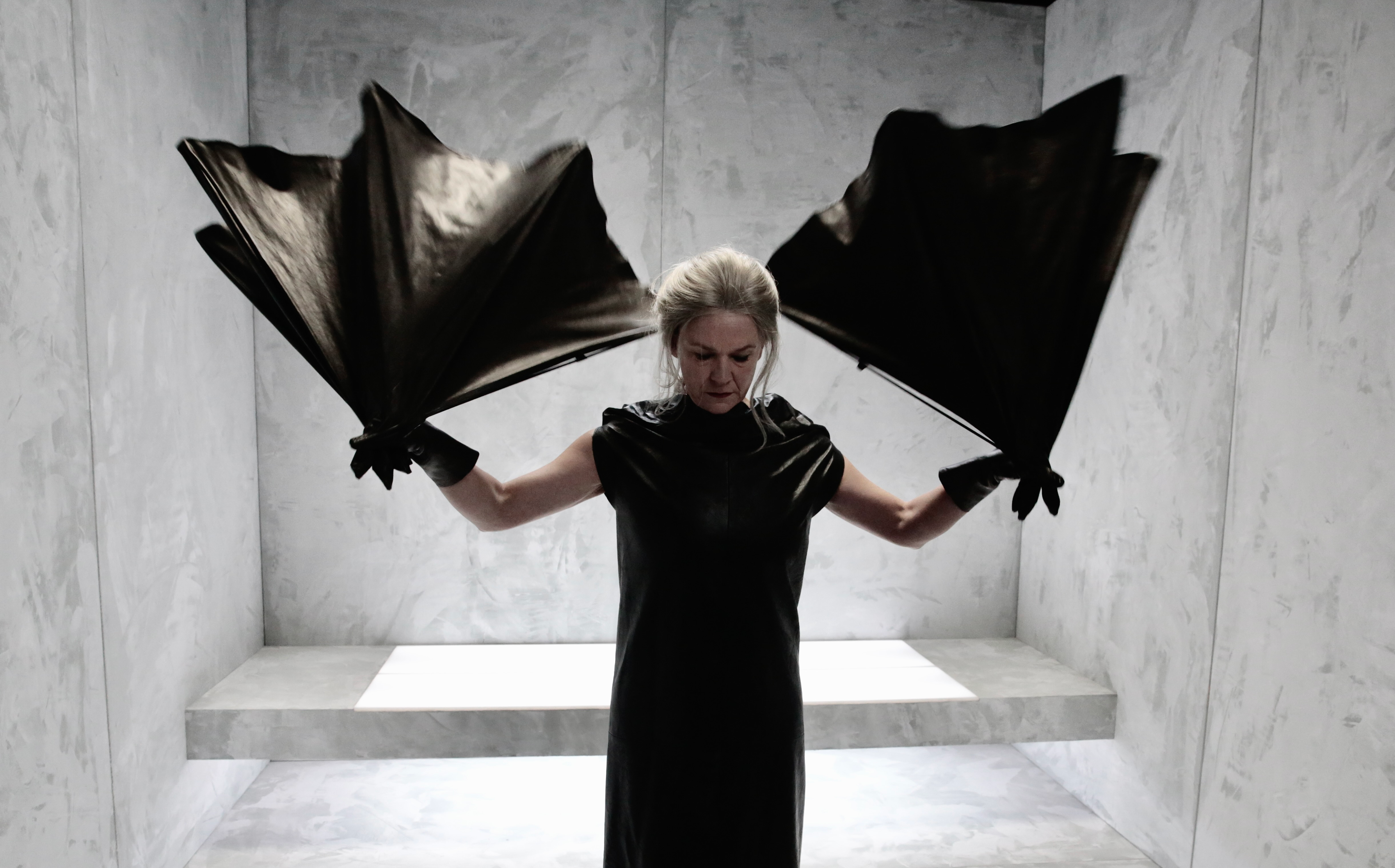 Infamous Offspring - Wim Vandekeybus