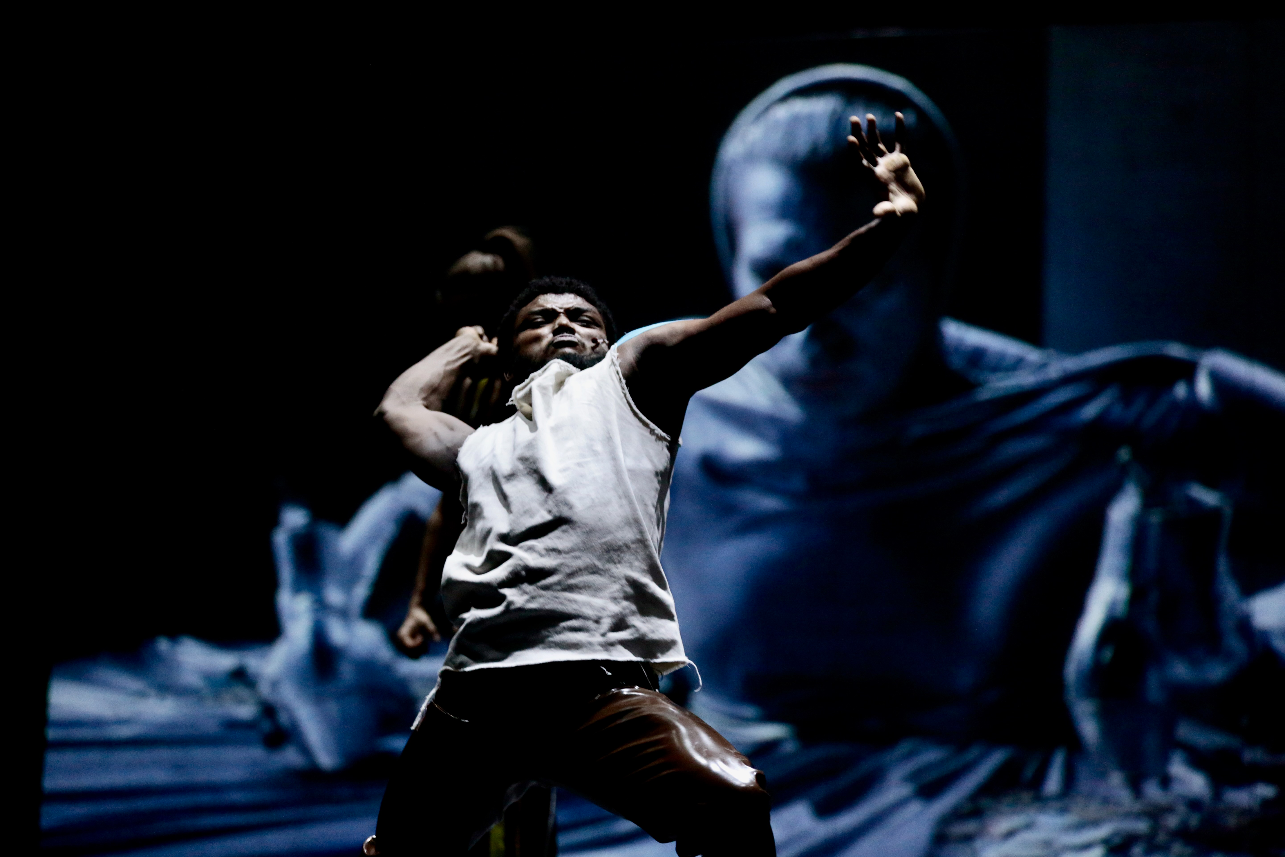 Infamous Offspring - Wim Vandekeybus